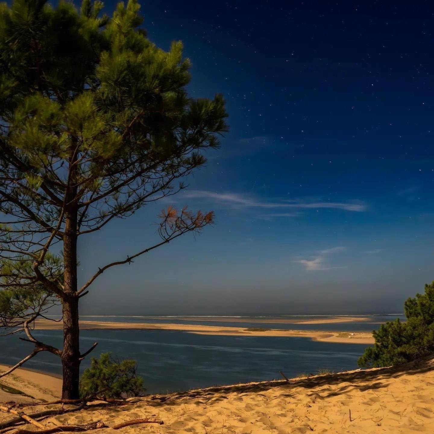 Cocon Entre Presqu'Ile Du Cap Ferret Et Plages Oceanes - Terrasse - 1 Velo Gratuit Ares Εξωτερικό φωτογραφία