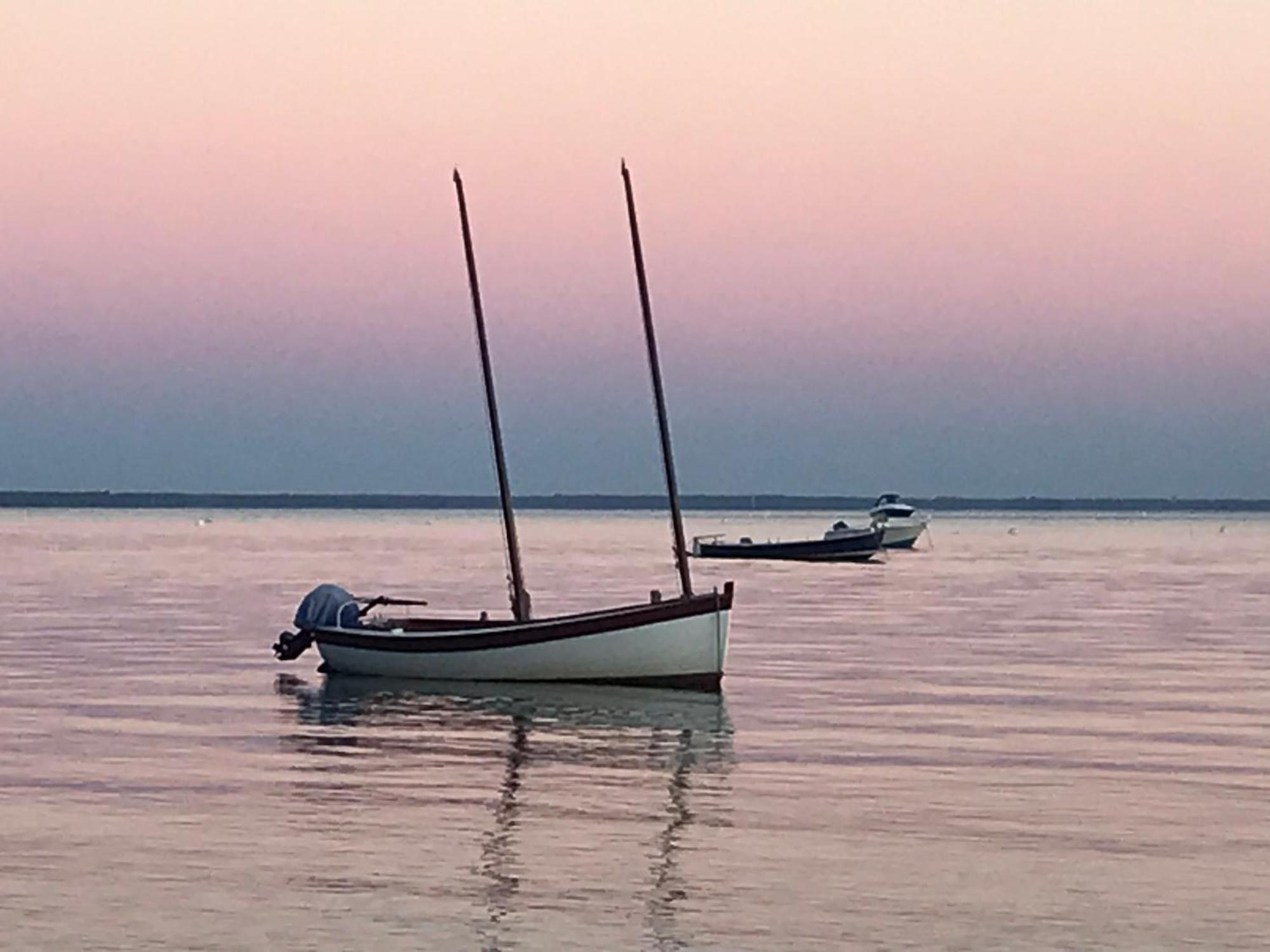 Cocon Entre Presqu'Ile Du Cap Ferret Et Plages Oceanes - Terrasse - 1 Velo Gratuit Ares Εξωτερικό φωτογραφία