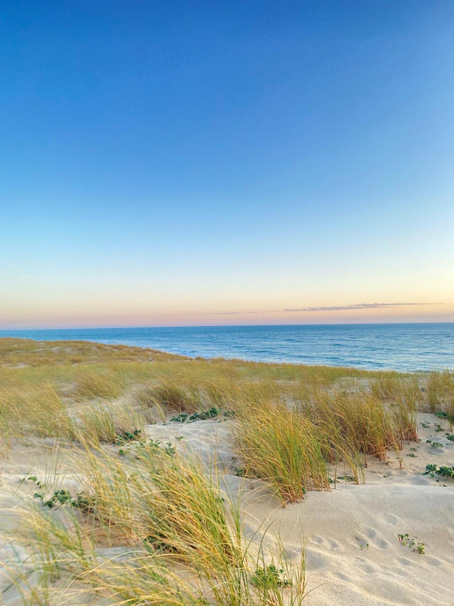 Cocon Entre Presqu'Ile Du Cap Ferret Et Plages Oceanes - Terrasse - 1 Velo Gratuit Ares Εξωτερικό φωτογραφία